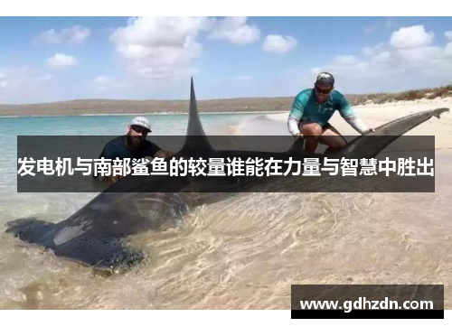 发电机与南部鲨鱼的较量谁能在力量与智慧中胜出