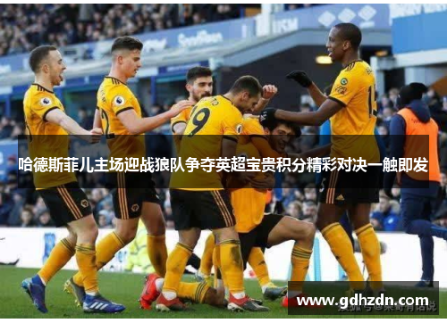 哈德斯菲儿主场迎战狼队争夺英超宝贵积分精彩对决一触即发