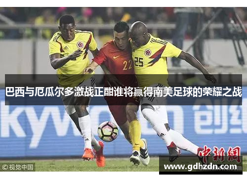 巴西与厄瓜尔多激战正酣谁将赢得南美足球的荣耀之战